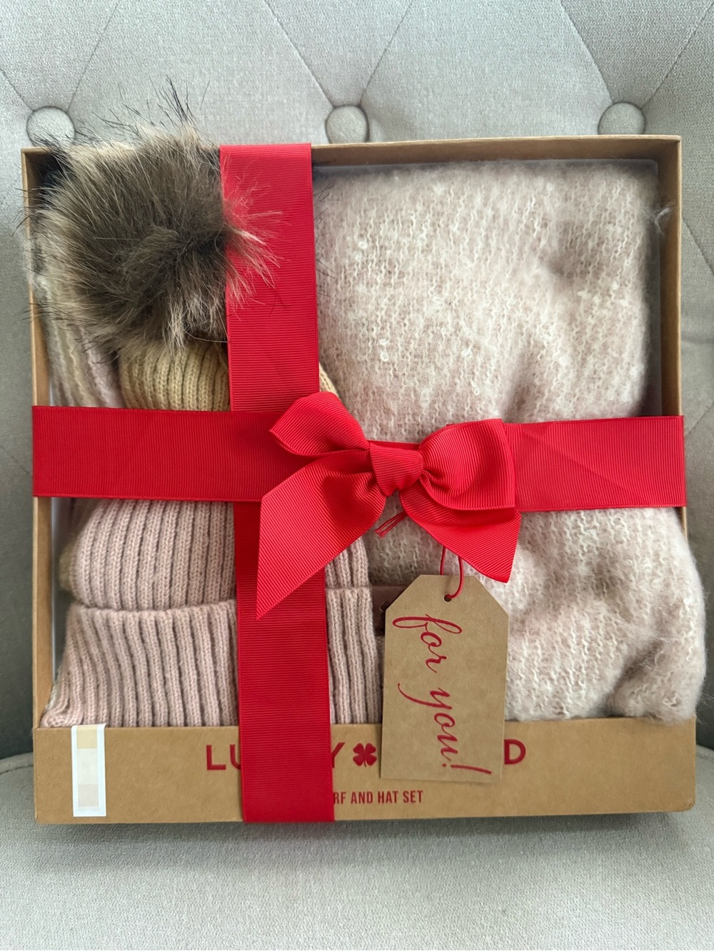 Lucky Brand Pink Knit Scarf and Pom Beanie Gift Set
